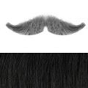 Picture of Hairaisers M/M Military Handlebar Moustache