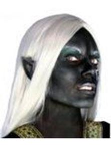 Picture of Maskworld Dark Elves