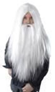 Picture of Wizard Wig & Beard - BW660