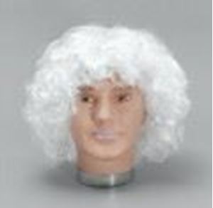 Picture of Santa Wavy Budget Wig - 019