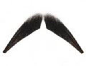 Picture of Hairaisers Wyatt Earp Moustache